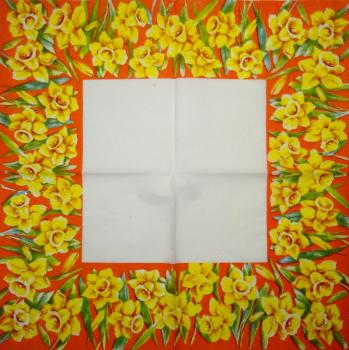184 Daffodils - 3 ply -